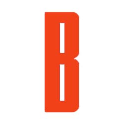 B101